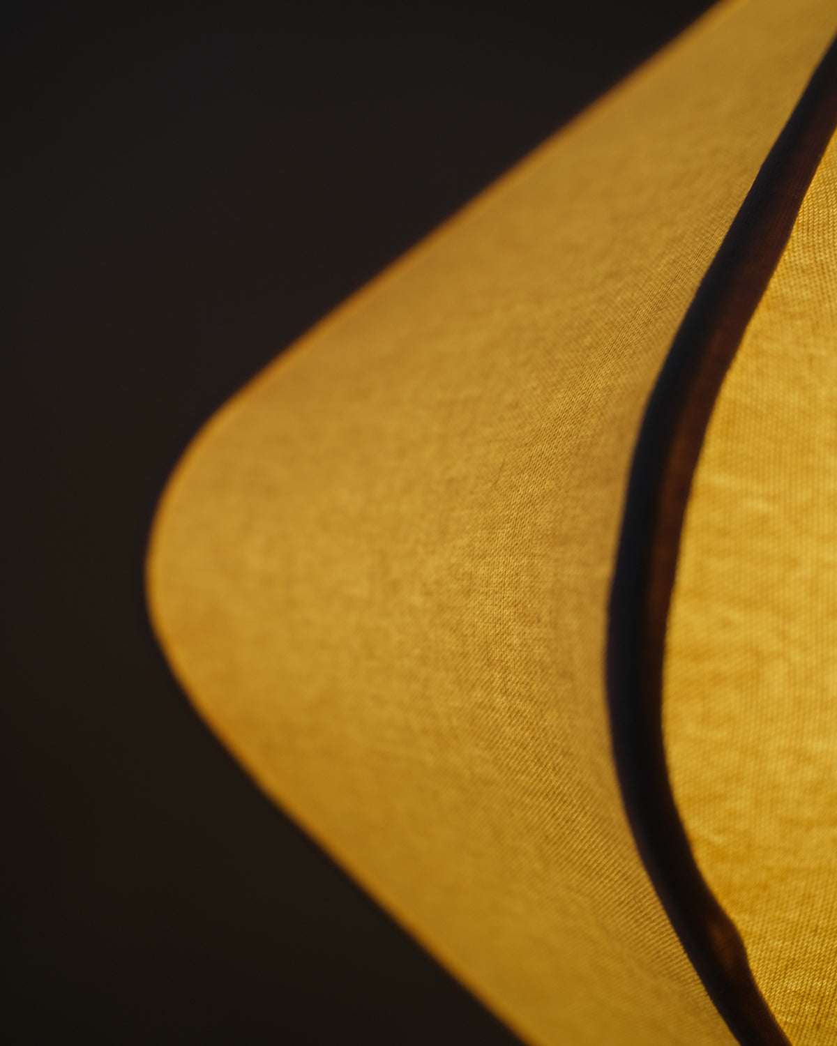 Forma Fusion Ceiling Lamp