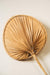 Handcrafted Palm Leaf Wall Light - Natural Tropical Lampshade - TesuWall Light