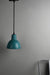 Hawk Pendant Light - Iron / Dia: 6inches - Lighting