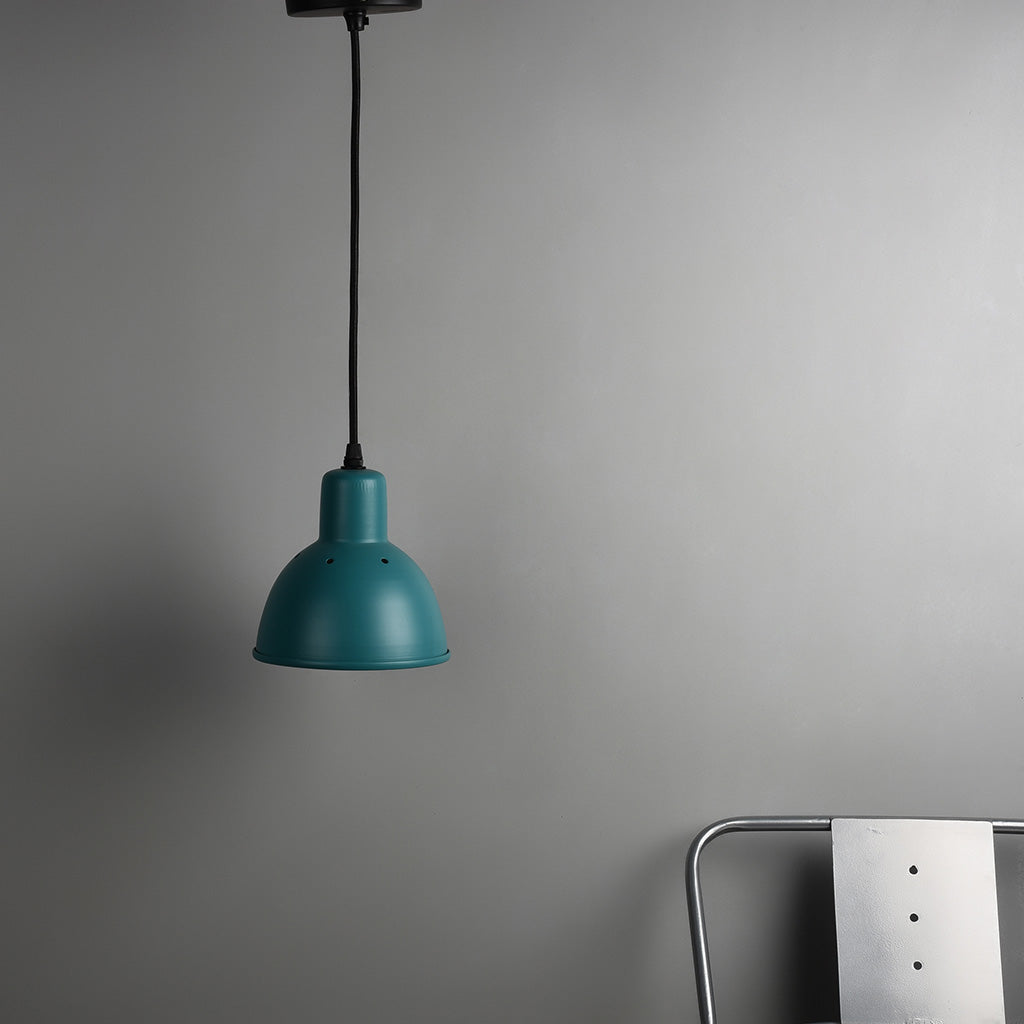 Hawk Pendant Light - Iron / Dia: 6inches - Lighting