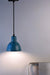 Hawk Pendant Light - Iron / Dia: 6inches - Lighting
