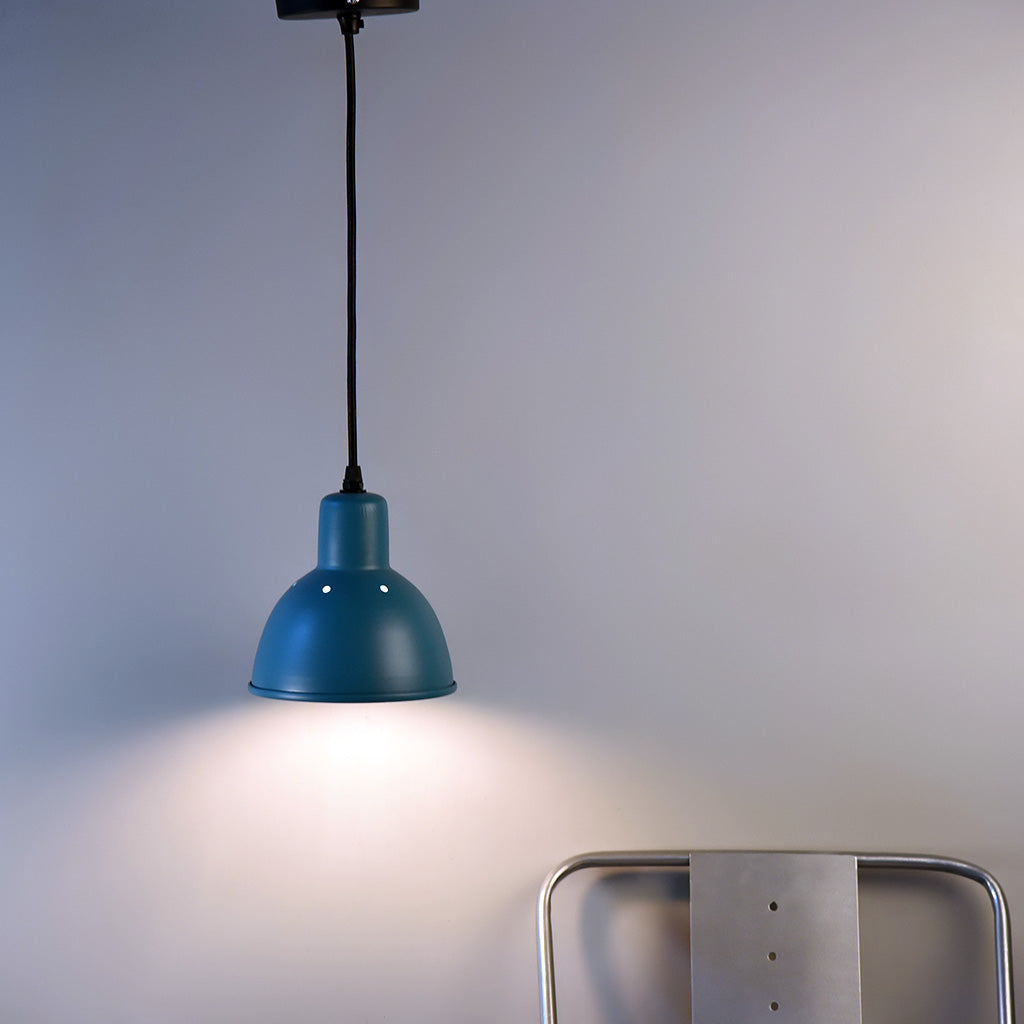 Hawk Pendant Light - Iron / Dia: 6inches - Lighting