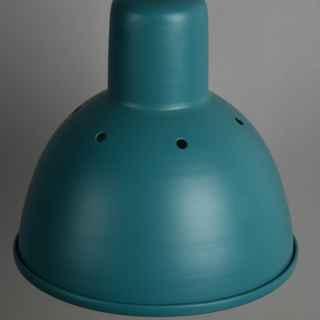 Hawk Pendant Light - Iron / Dia: 6inches - Lighting