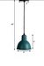 Hawk Pendant Light - Iron / Dia: 6inches - Lighting