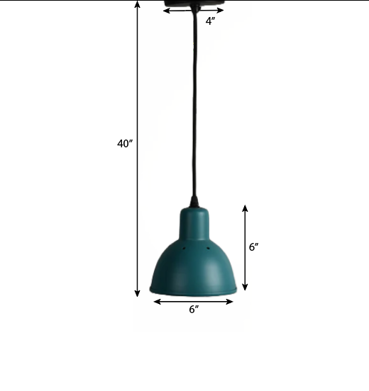 Hawk Pendant Light - Iron / Dia: 6inches - Lighting
