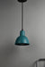 Hawk Pendant Light - Iron / Dia: 6inches - Lighting