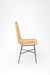 Mesh Cane Chair No. 17