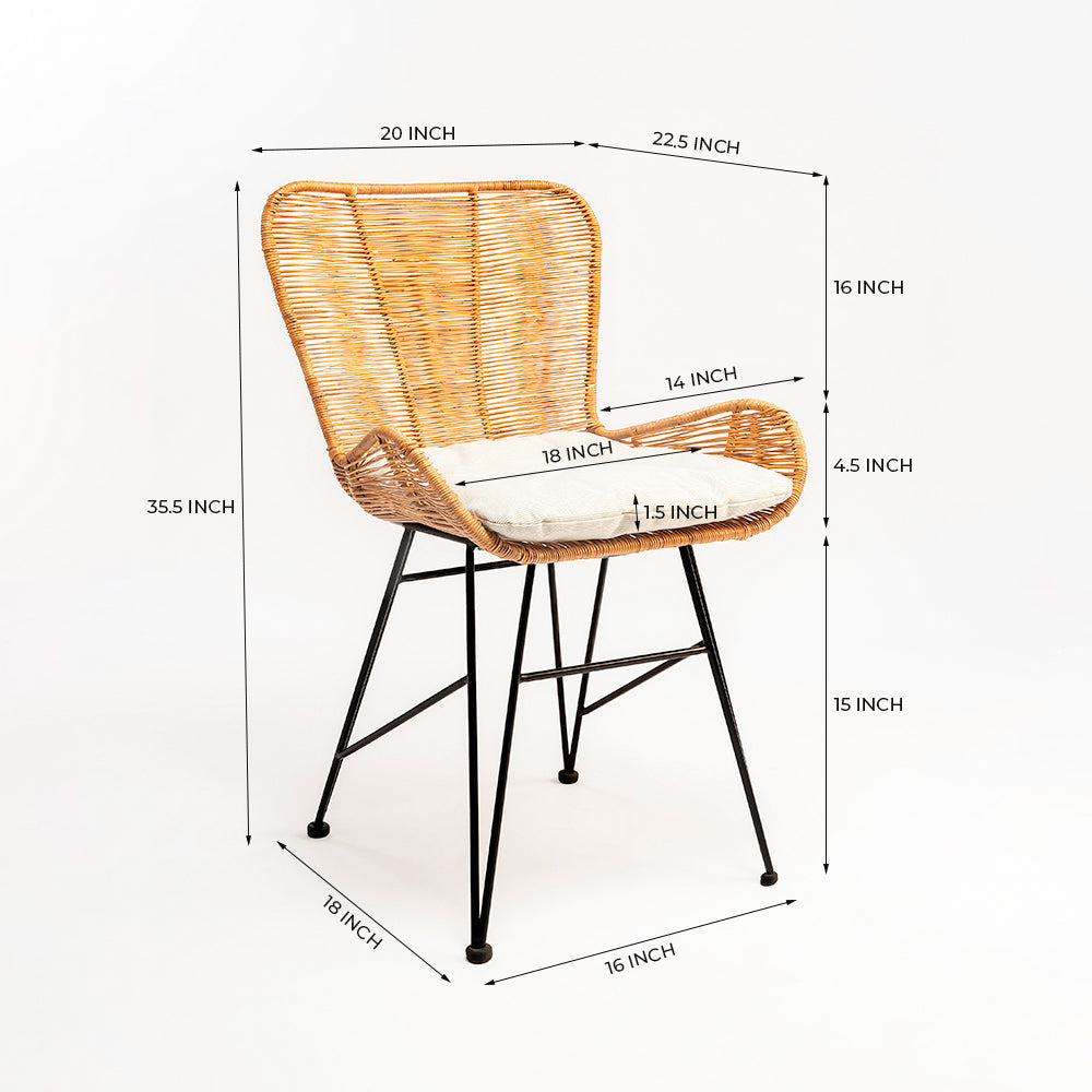 Koh Cane Chair 36 - Cane & Mild Steel / L:60 x B:64 x H:90 In cm - Indoor Furniture