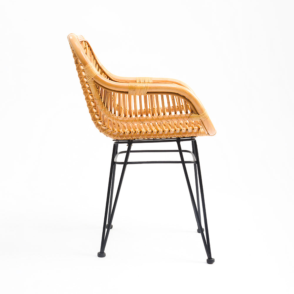 Koh Chair 7 - CM - L:- 53 x W:- 50 x H:- 79 / Mild Steel and Rattan - Indoor Furniture