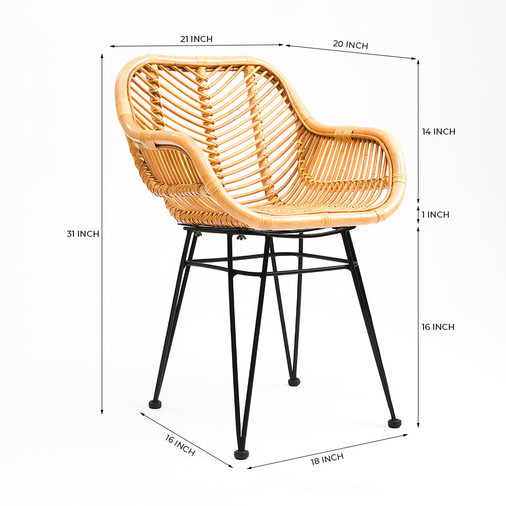Koh Chair 7 - CM - L:- 53 x W:- 50 x H:- 79 / Mild Steel and Rattan - Indoor Furniture