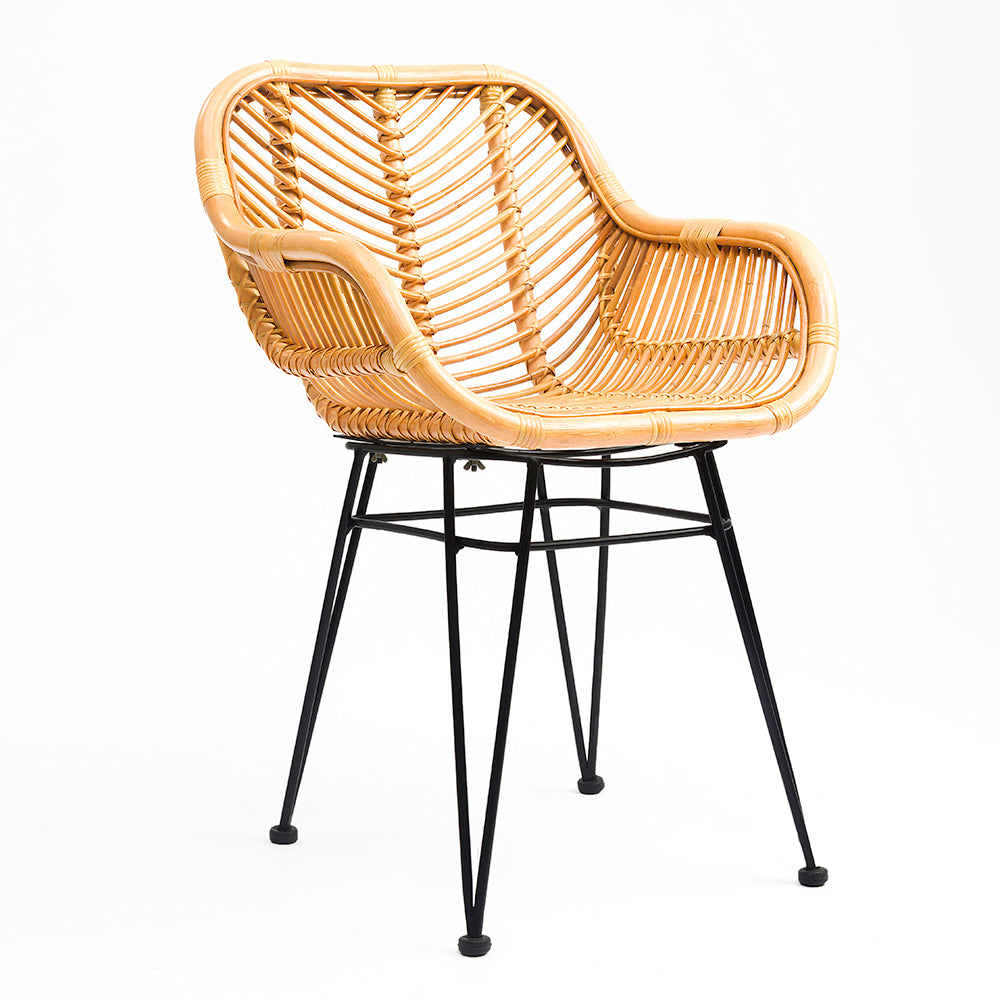Koh Chair 7 - CM - L:- 53 x W:- 50 x H:- 79 / Mild Steel and Rattan - Indoor Furniture
