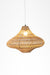 Mesh Light No. 11