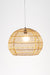 Mesh Light No. 14