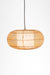 Mesh Light No. 16