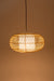 Mesh Light No. 16