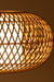 Mesh Light No. 16