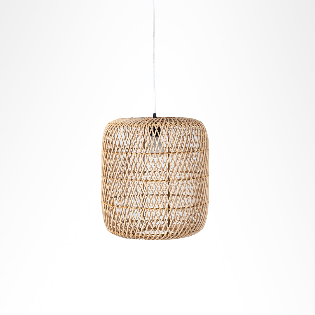Mesh Light No. 21