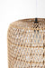 Mesh Light No. 21