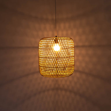 Mesh Light No. 21