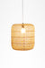 Mesh Light No. 21