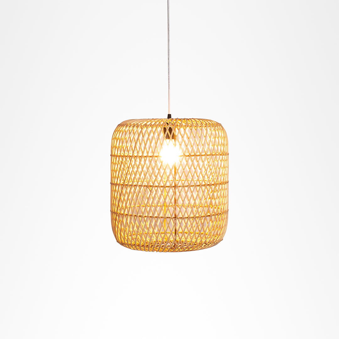 Mesh Light No. 21