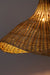 Mesh Light No. 34