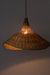 Mesh Light No. 34