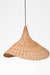Mesh Light No. 34