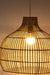 Mesh Light No. 4
