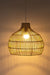 Mesh Light No. 4