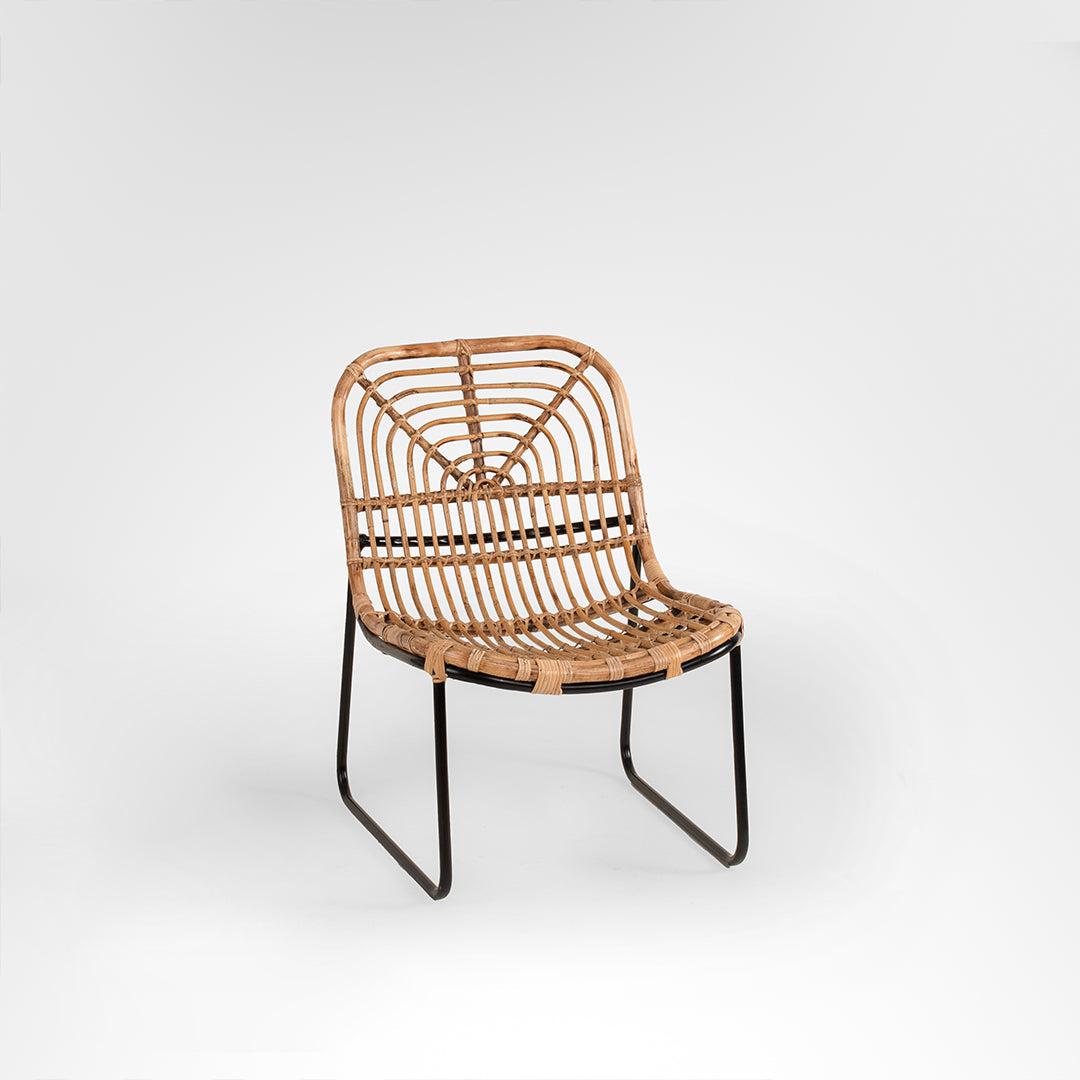 Mesh Lounge Chair No. 16