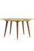 Lotus Coffee Table - Gold / Brass and wood - Indoor Furniture