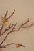Meadow Wall Decor - 20’’ x 30’’ / Aluminium - Wall Decor