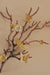 Meadow Wall Decor - 20’’ x 30’’ / Aluminium - Wall Decor
