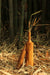 Meagre V01 Set of 2 - Brown / Teak / Biggest:Diameter: 3 in & Height: 14 in& Smallest: Diameter: 2 in & Height: 10