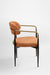 Nebula Dining Chair Set Of 2 - Indoor Furniture