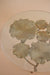 Nelumbo Table - Dia 25’’ x H 20’’ / Brass plated Aluminium, Glass - Coffee Table