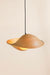 Nest Bamboo Lamp - Lighting