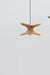 Ola Alo Pendant Lamp