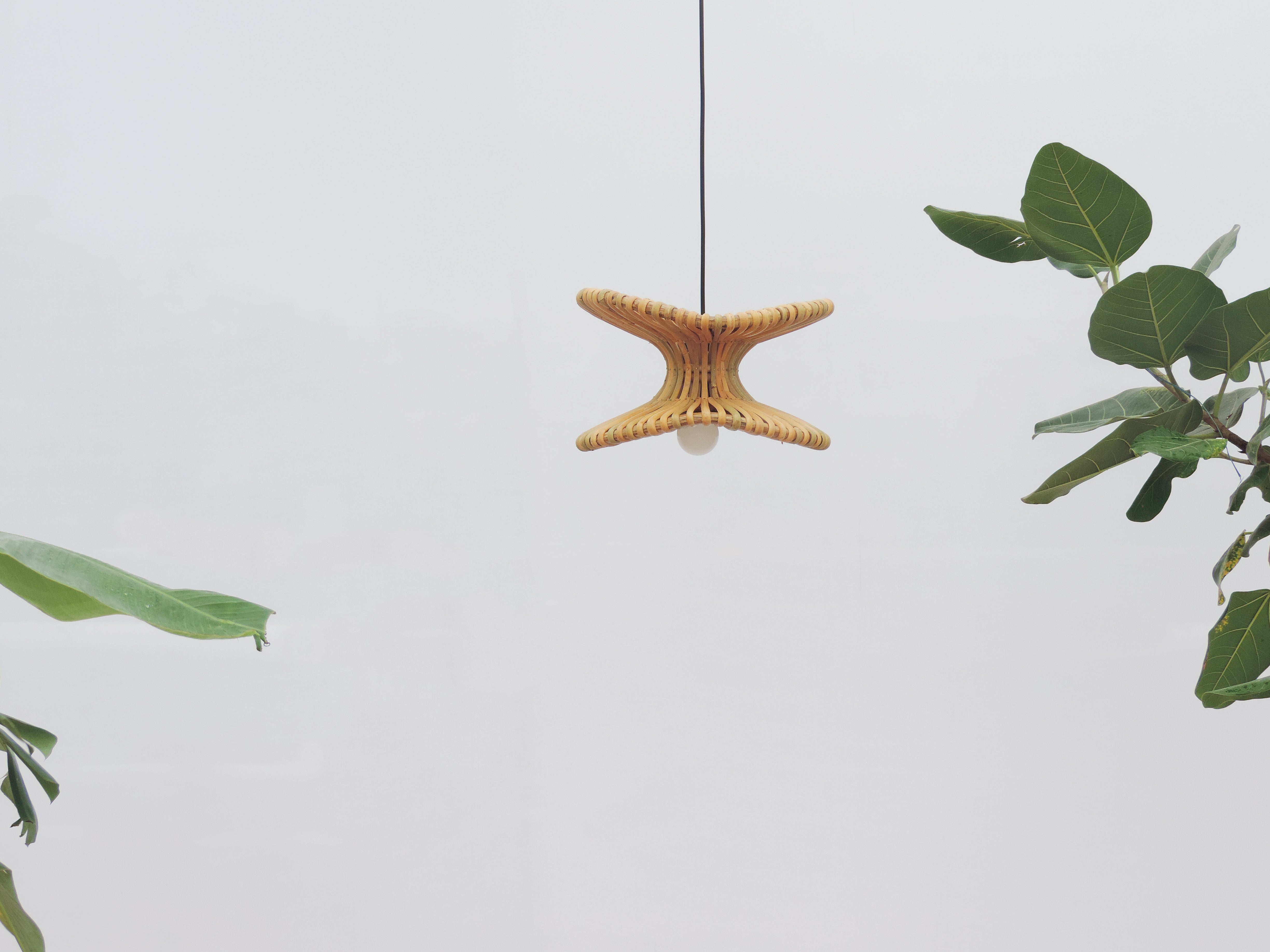 Ola Alo Pendant Lamp
