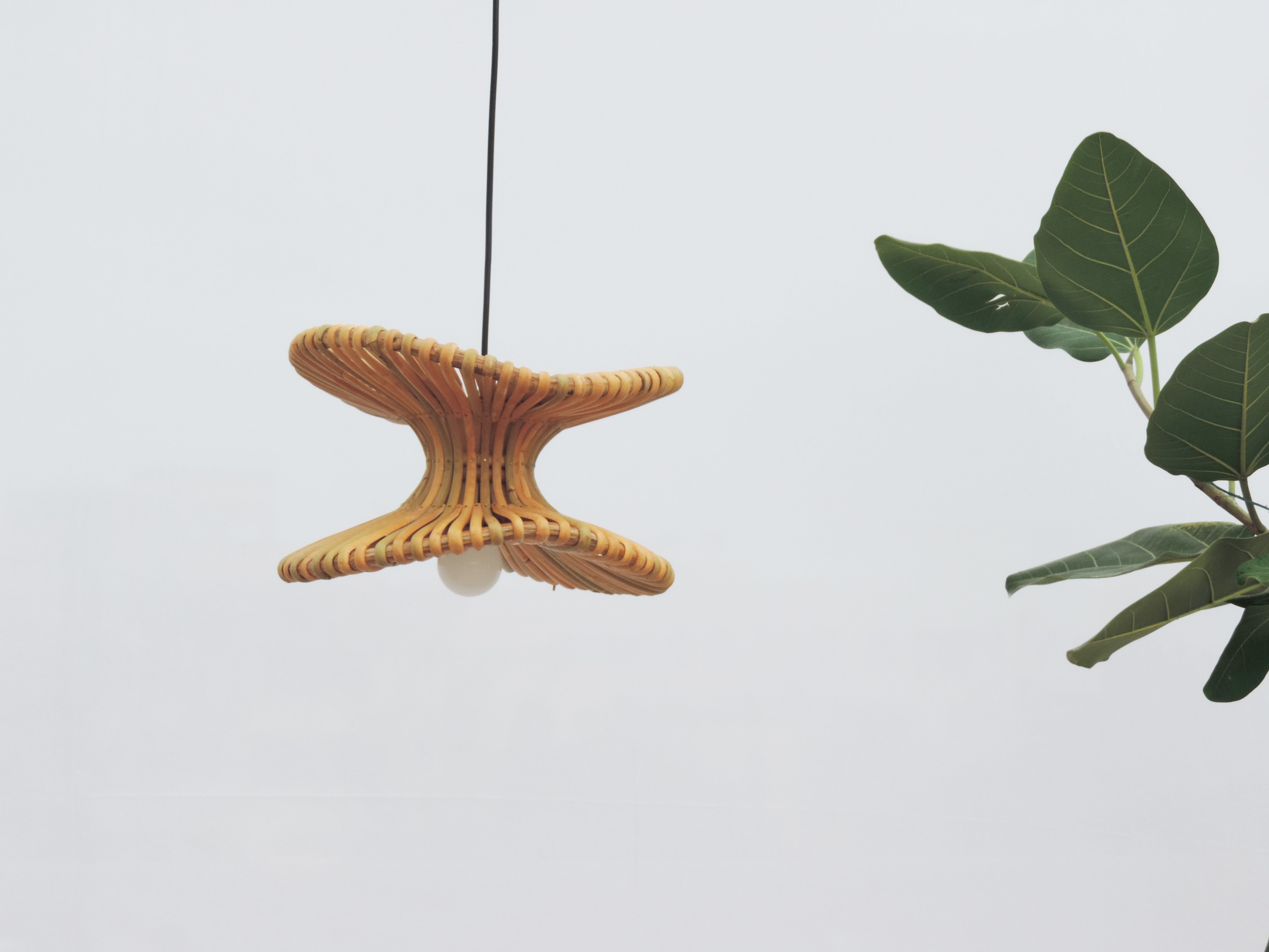Ola Alo Pendant Lamp
