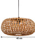 Orion Flat Ball Hanging Lamp by homeblitz.in