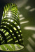 Palme Cone Green Hanging Lamp