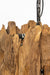 Pantai Pendant Lamp 7 - Teak Wood / L:165 x B:35 x H:45 In cm - Lighting