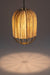 Papyrus Bloom Pendant Lamp - Offwhite / Banana Fiber paper / Dia: 9’’ H: 15’’ - Lighting