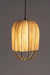 Papyrus Cluster of 3 Pendant Lamps - Banana Fiber paper / Cocoon: Dia: 9’’ H: 20’’ Bloom: Dia: 9’’ H: 15’’ Orb: Dia: