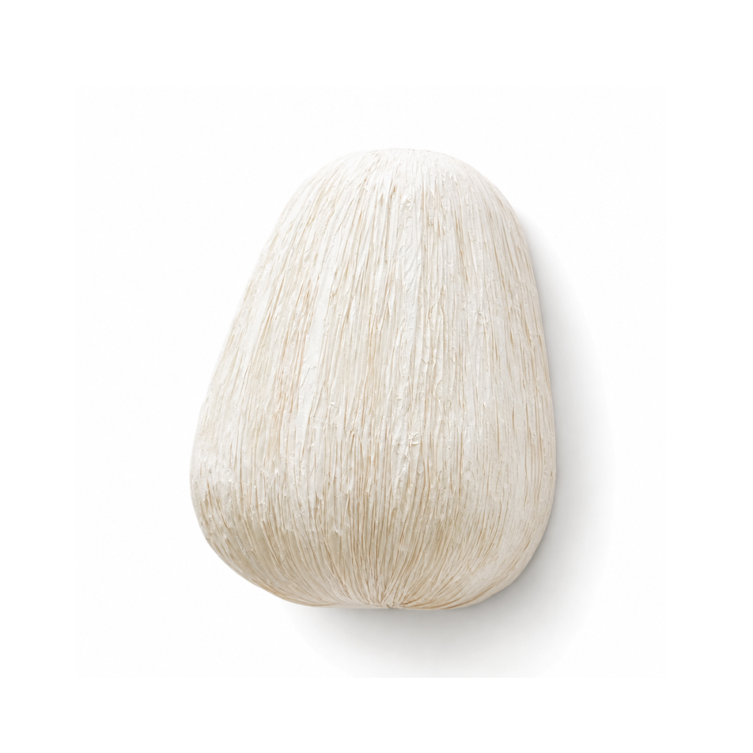 Papyrus Cocoon Wall Lamp - Banana Fiber paper / H: 8’’ W: 13’’ - Lighting