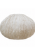Papyrus Dome Wall Lamp - Banana Fiber paper / H: 8’’ W: 13’’ - Lighting