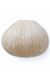 Papyrus Dome Wall Lamp - Banana Fiber paper / H: 8’’ W: 13’’ - Lighting