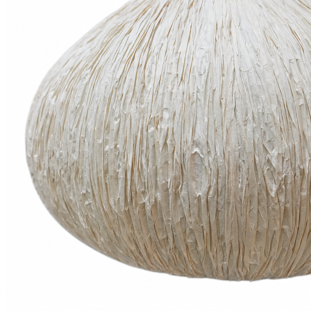 Papyrus Dome Wall Lamp - Banana Fiber paper / H: 8’’ W: 13’’ - Lighting